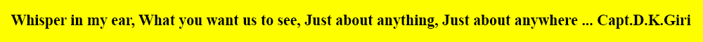 india detectcives india detectives logo